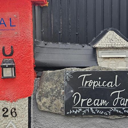 Tropical Dream Farm Hotel Vouzela Buitenkant foto