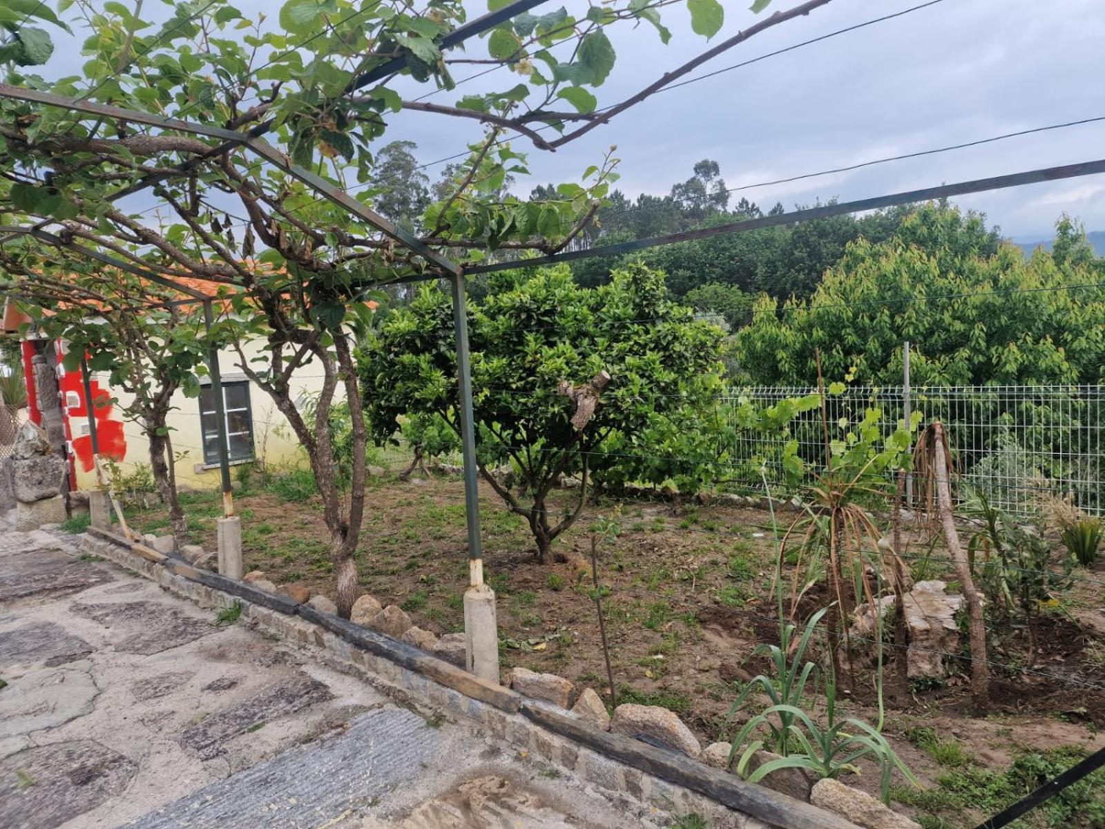 Tropical Dream Farm Hotel Vouzela Buitenkant foto